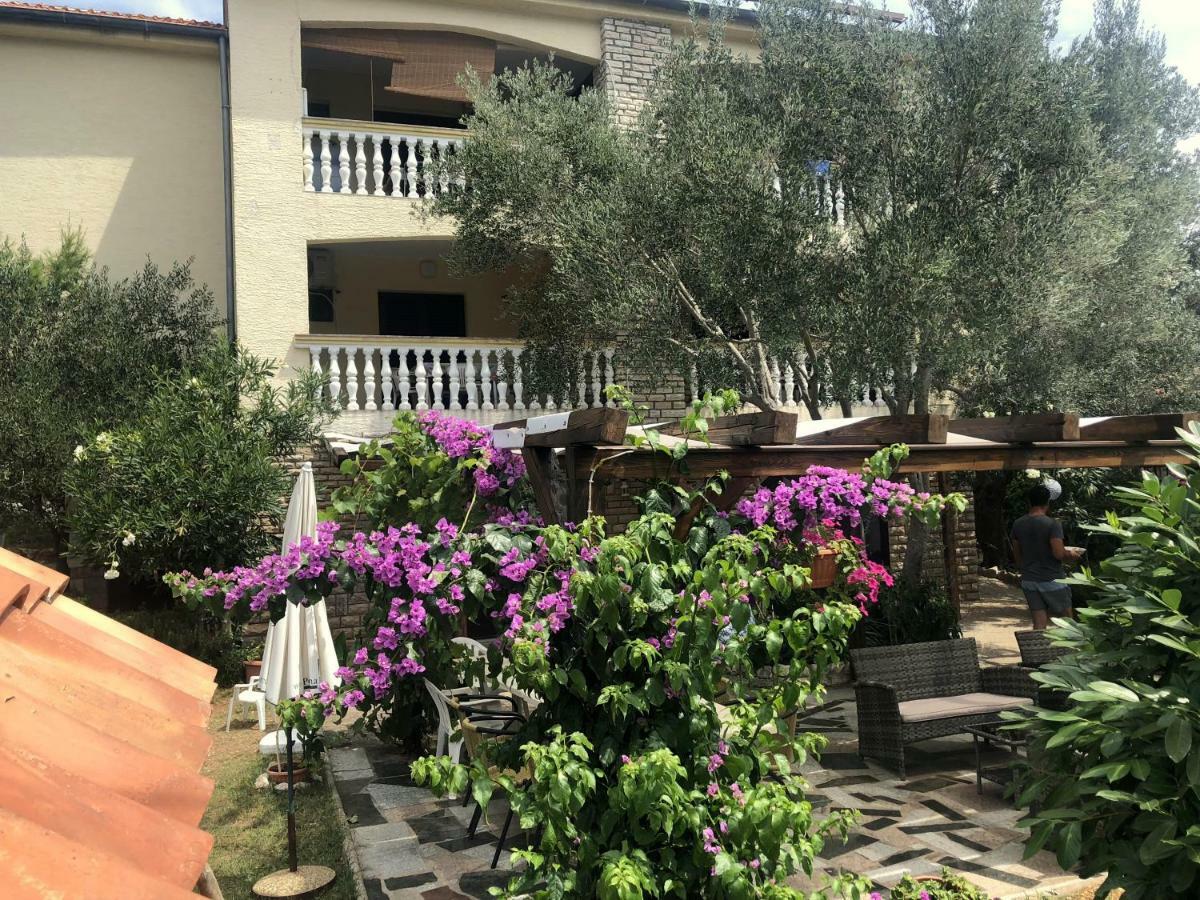 Guesthouse Vila Ruzmarin ชเดรลาตซ์ ภายนอก รูปภาพ